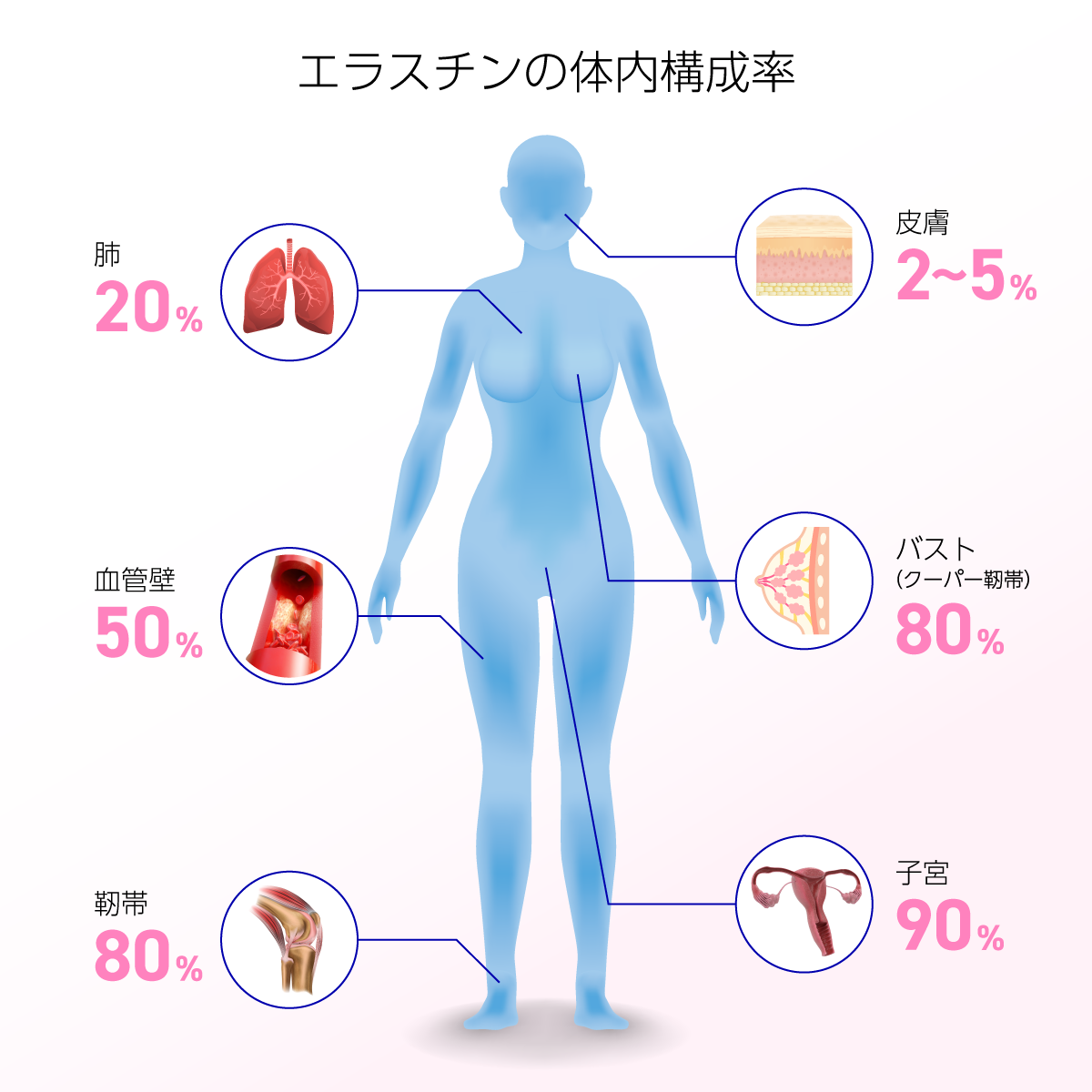Image: https://www.jwoashop.jp/suppliers_image/504/504_20220305_1646480273f234f1a732d6e57e8ccde3e1d4c422b4dc04dfa0.png
